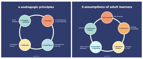 Toradh íomhá ar Adult Learning Theory Principles