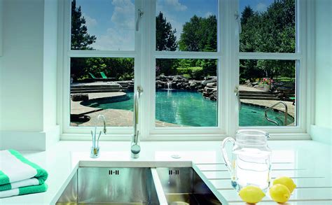 Image result for Sta-Rite Maxi Pro