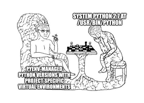 Toradh íomhá ar Python Brain