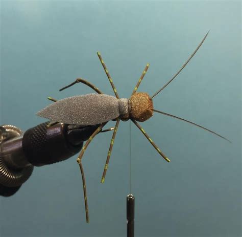 Image result for Cricket Dry Fly Pattern