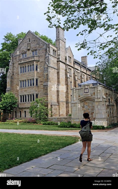 Image result for Yale