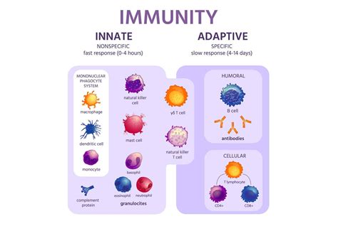Immunity Biology に対する画像結果