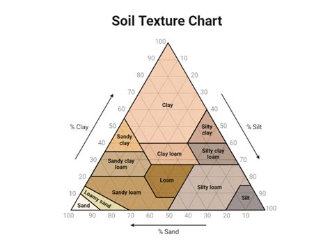 Toradh íomhá ar Line Graph Labeled Environmental Science Soil