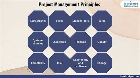 Image result for Safe Principles Project Managment