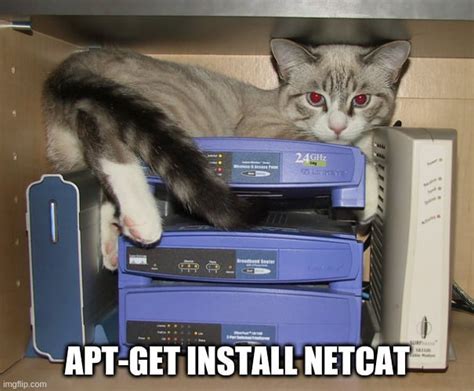 Netcat Hacking Meme に対する画像結果