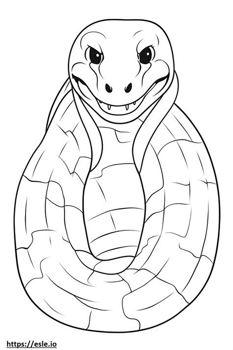 Image result for Cute Ball Python Coloring