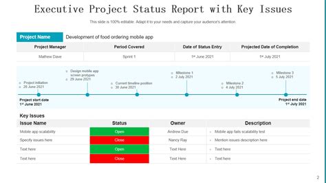Image result for Project Progress Sample