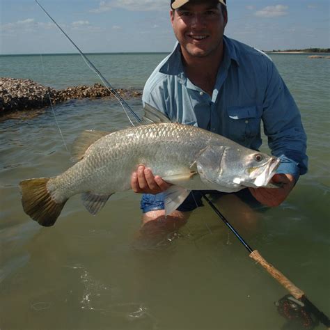 Australian Sea Fish に対する画像結果