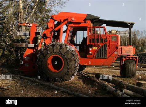Industrial Logging Yards に対する画像結果