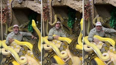 Image result for Python Zoo Pit