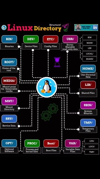 Image result for Linux 3D Directory