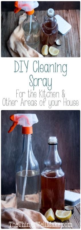 DIY Cleaning Spray for the Kitchen - Oh, The Things We'll Make!