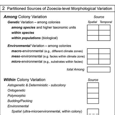 Afbeeldingsresultaten voor Morphological Variation Examples