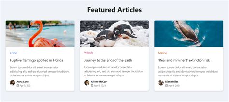 Image result for React Card Media Designs