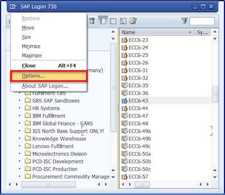 Image result for SAP GUI Settings