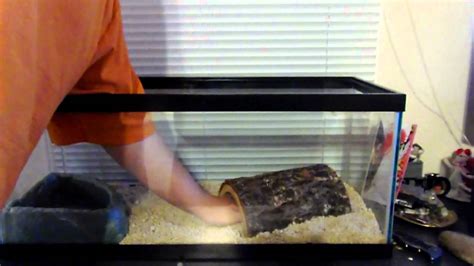 Toradh íomhá ar Ball Python Homemade Cave