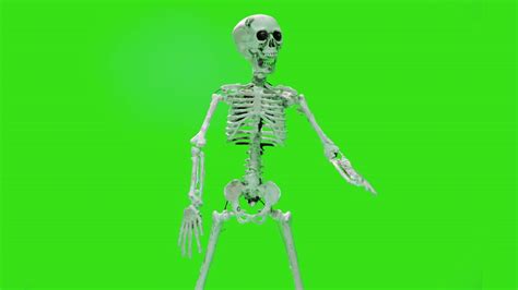 Pexels Video Clips Animated Characters に対する画像結果