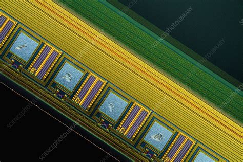 CCD Camera Light に対する画像結果