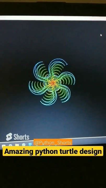 Image result for Python Turtle Amazing Work