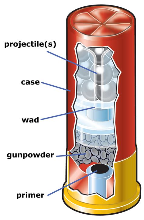 Image result for Shotgun Shell Diagram