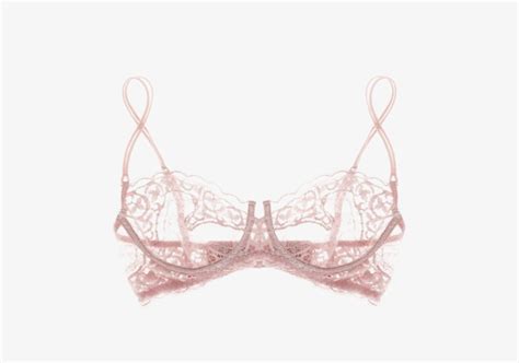 Image result for Visual Cortex Bra in Transparent