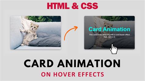 Image result for Card Animation. CSS