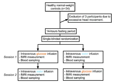 Image result for Graphical Summary of a Lab Protocol Examples