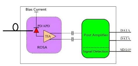 Component Optical Module に対する画像結果