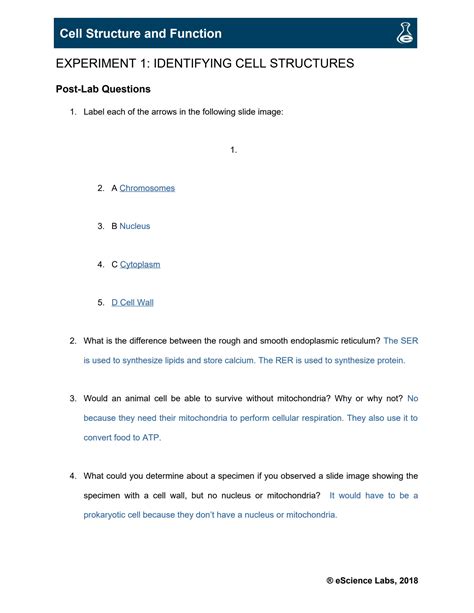 Image result for Lab 10 Cell Structure