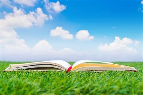 Open Notebook High Resolution に対する画像結果