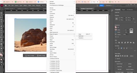 InDesign How to Crop a Foto に対する画像結果