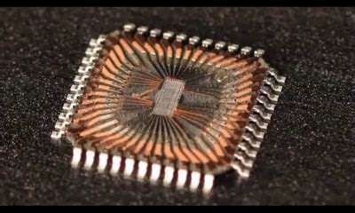 Image result for Microcontroller Decapped