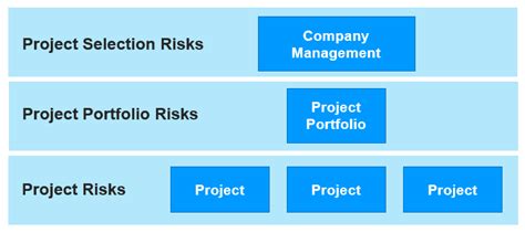 Categorizing Project Risks に対する画像結果
