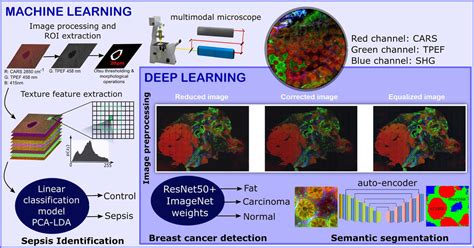 Image result for Multimodal Cancer Machine Learning