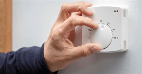 Section Six 的图像结果