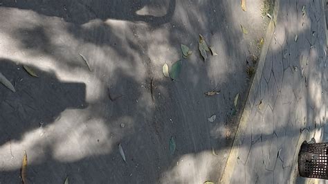 Image result for Gimnasio Labastida