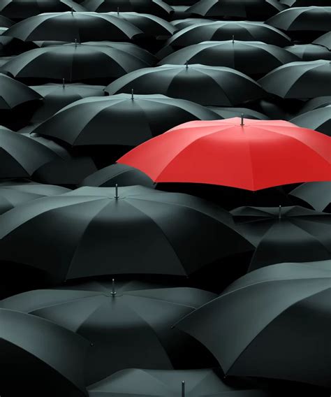 Image result for Branding Color Schemes