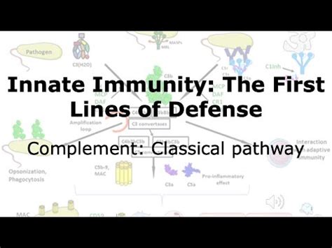 Toradh íomhá ar Classical Pathway Mmunity Complement