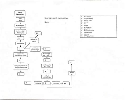 Image result for Module 5 Concept Map Gene Expression