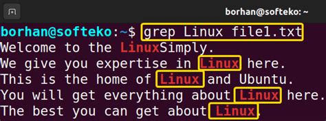 Image result for Grep On File Linux