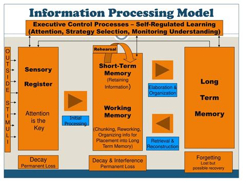 Image result for Memory Processing Model