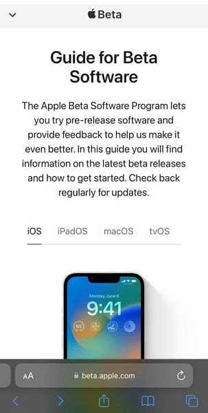 Image result for iOS PC ISO Beta
