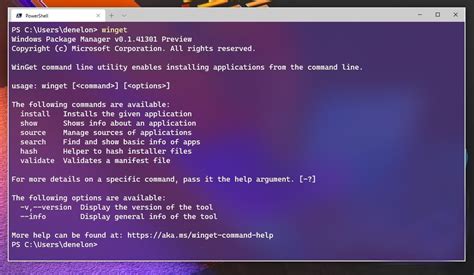 Afbeeldingsresultaten voor New Windows Package Manager
