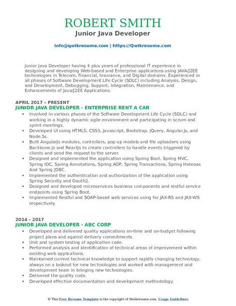 Image result for Junior Java Developer CV