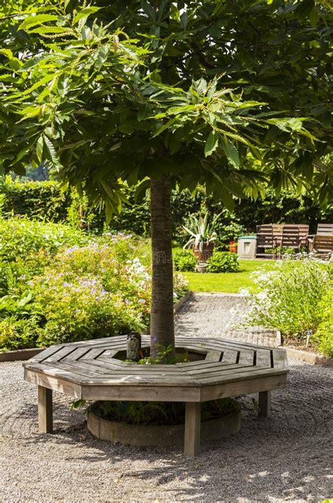 Image result for Tree Log Bench