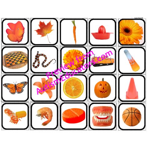 Image result for Color Sorting Objects