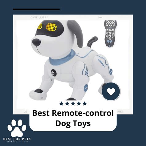 Image result for Cockapoo Remote Control Dog