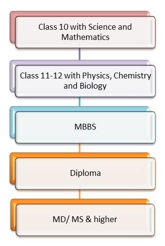 Image result for How Much Time It Takes to Become a Doctor in India