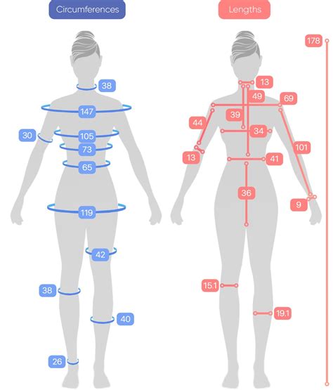 Image result for Body Dimensions Visualizer Bust