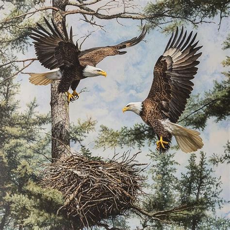 Toradh íomhá ar Animls with Dynamic Forms